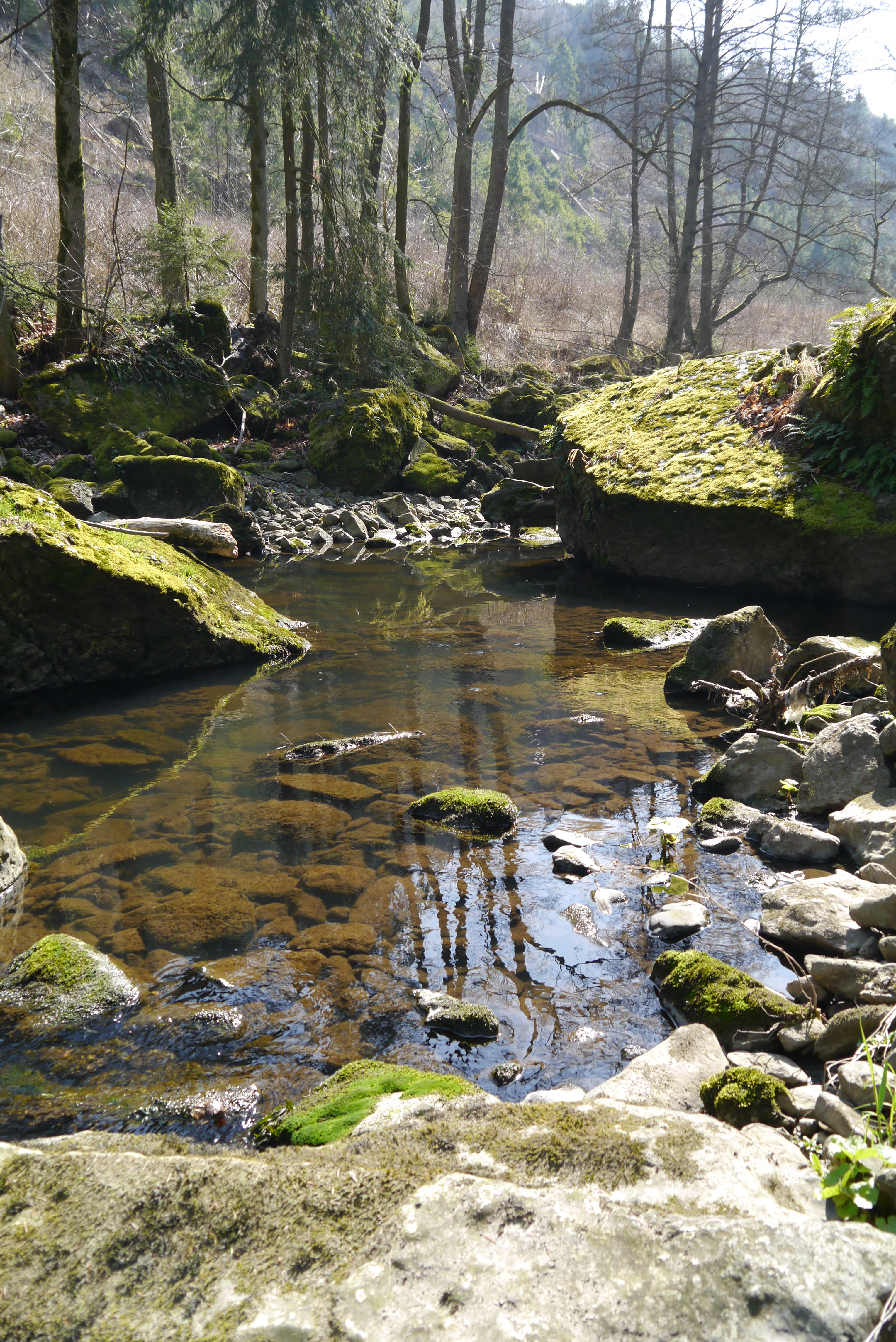 Natur