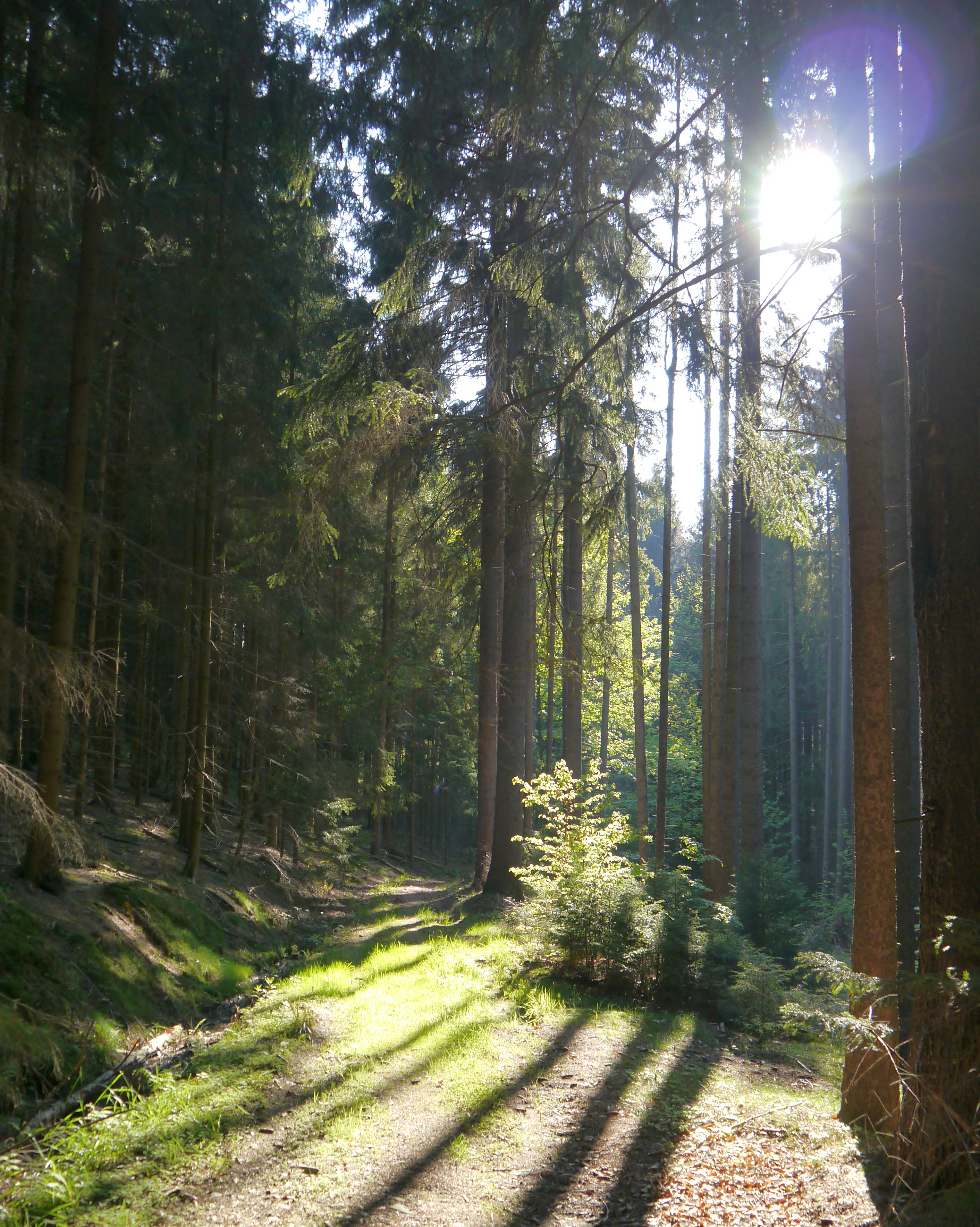 Neue Wege gehen