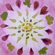 Rosenmandala