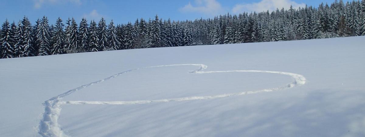 Schneeschuhspuren