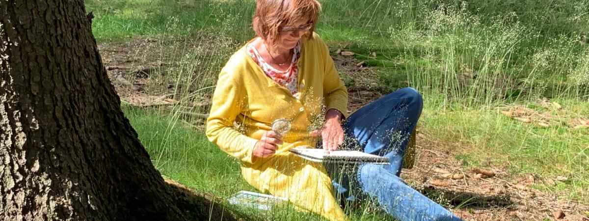 Kunsttherapie Natur